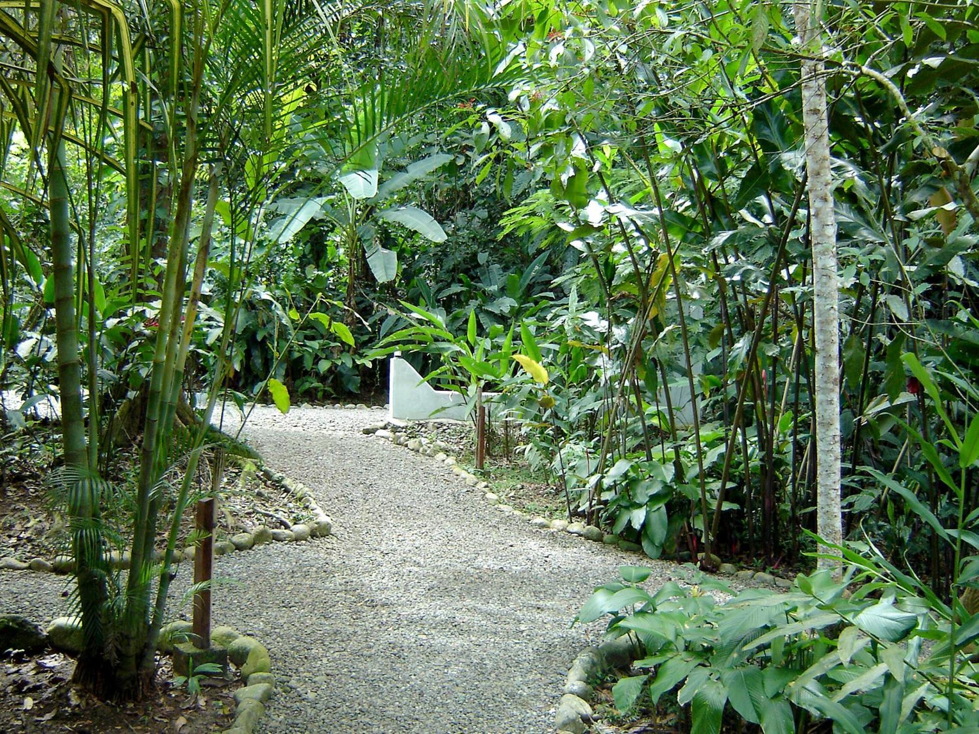 El Colibri Lodge Manzanillo  Buitenkant foto