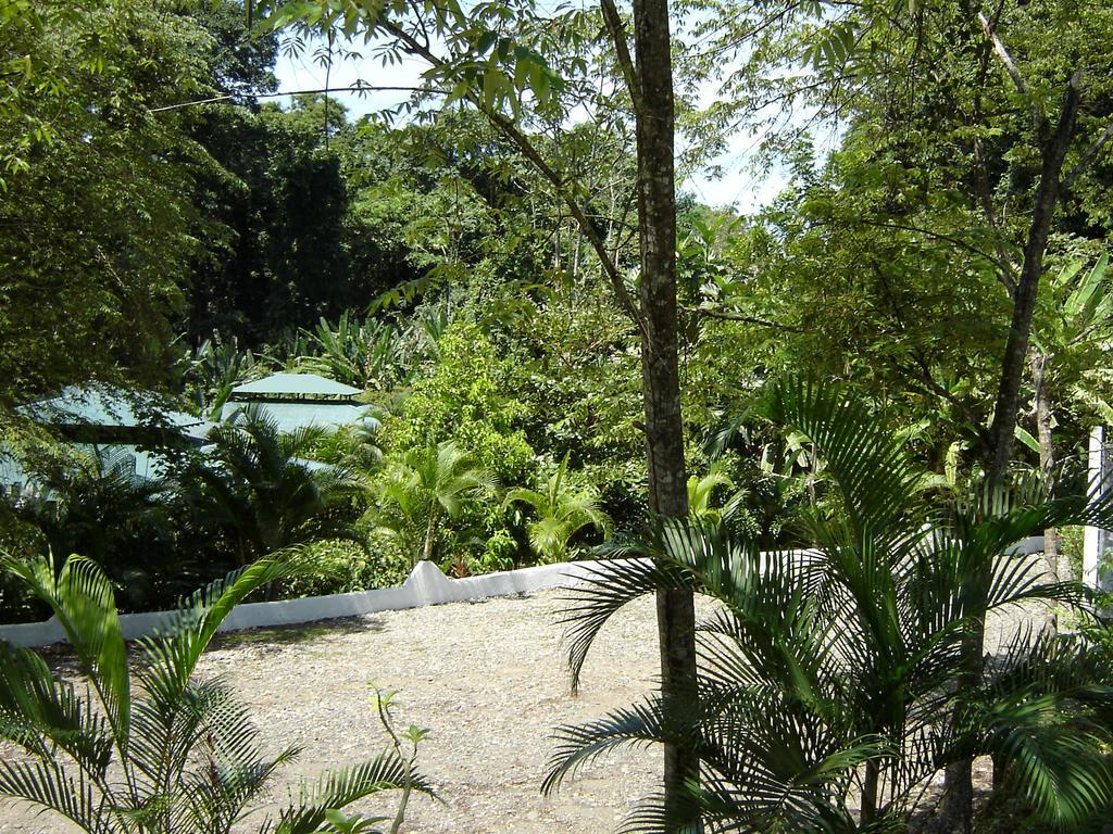 El Colibri Lodge Manzanillo  Buitenkant foto