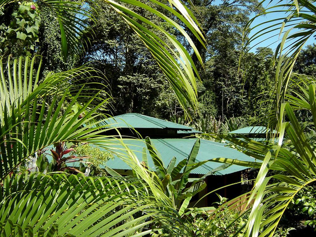 El Colibri Lodge Manzanillo  Buitenkant foto